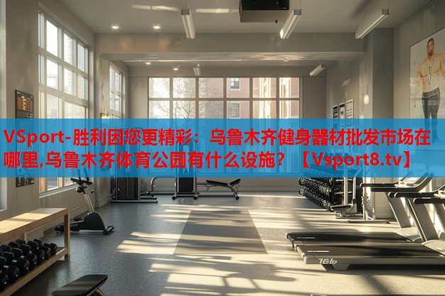 VSport-勝利因您更精彩：烏魯木齊健身器材批發(fā)市場在哪里,烏魯木齊體育公園有什么設(shè)施？