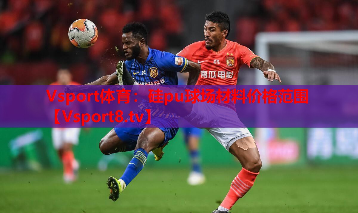Vsport體育：硅pu球場材料價(jià)格范圍